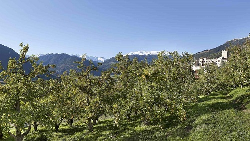 Panorama Val Venosta