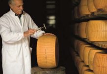 TORNA “CASEIFICI APERTI”, SABATO 30 E DOMENICA 1 OTTOBRE Parmigiano Reggiano esperto battitore