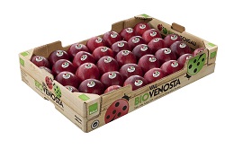 bio valVenosta 60x40x10 gala