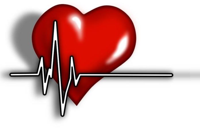 cuore malattie cardiovascolari