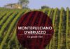 SI FESTEGGIA IL 5O° DEL MONTEPULCIANO D’ABRUZZO Montepulciano-cover-seD628