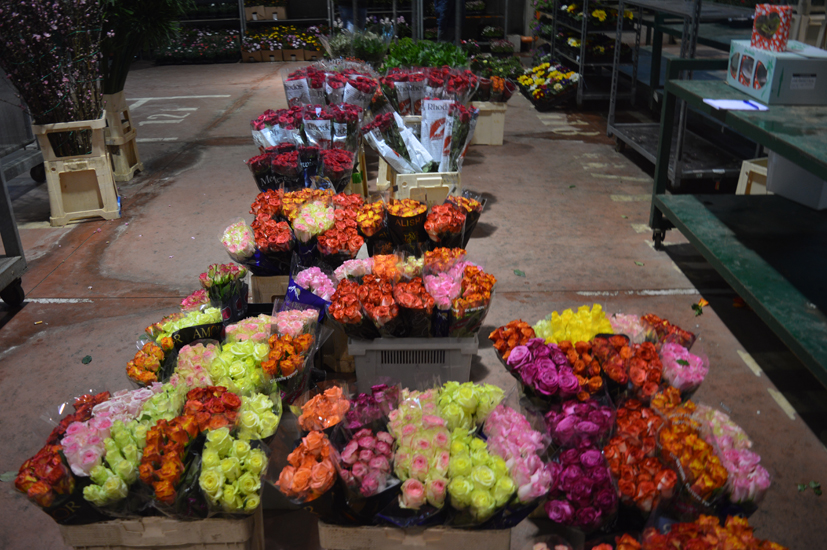 Leverano mercato dei fiori wleverano-mercatodeifiori