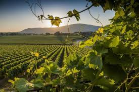 FRANCIACORTA