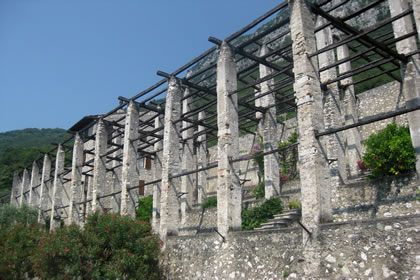 LIMONAIE LIMONE DEL GARDA LIMONAIE LIMONE DEL GARDA