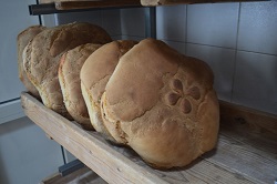 wcopertino-paneFIRMATOdalle famiglie