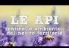 LE API SENTINELLE