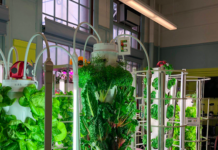 FOOD INNOVATION GLOBAL MISSION ON THE WORLD Green Bronx Machine