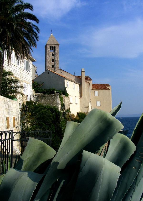 RAB agava