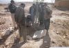 MISSIONE ARCHEOLOGICA IN AFGHANISTAN, LA FARNESINA RINNOVA IL CONTRIBUTO Missione Archeologica Italiana Afghanistan