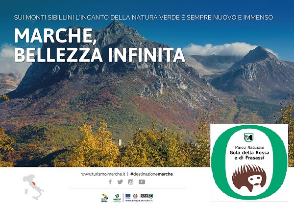 MARCHE REGIONE INFINITA