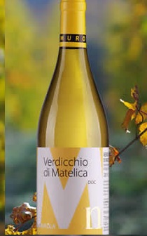 VERDICCHIO MATELICA