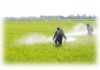 agricoltura chimici glifosato antiparassitari