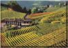 Alla ricerca di emozioni: turismo esperienziale in Monferrato turismo esperienziale Monferrato