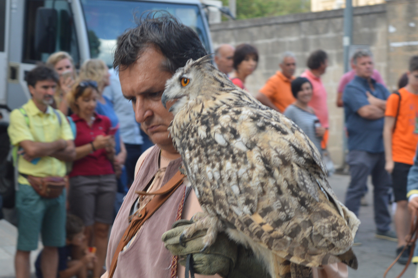 wcorteo-ilfalconiere