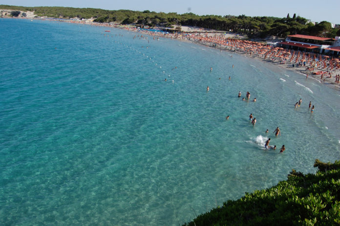 wtorredellorso-acqua