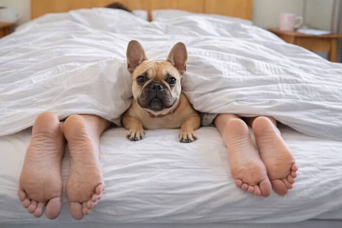 Sonno coppia