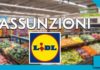LIDL lavoro assunzioni