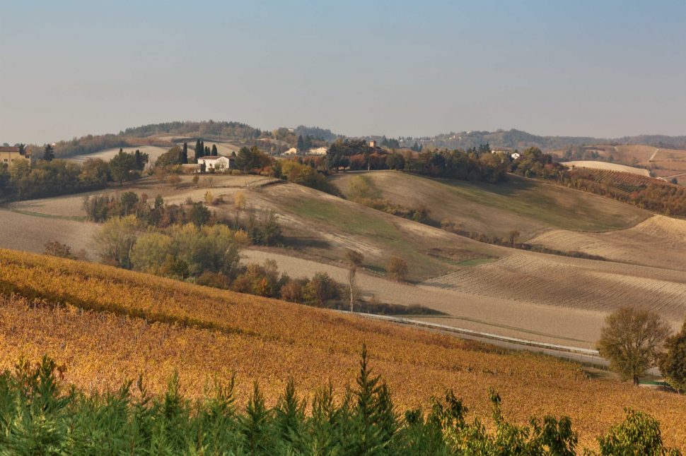 Tenuta Fratelli BONZANO Casale Monferrato