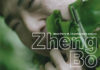 ZEENG BO