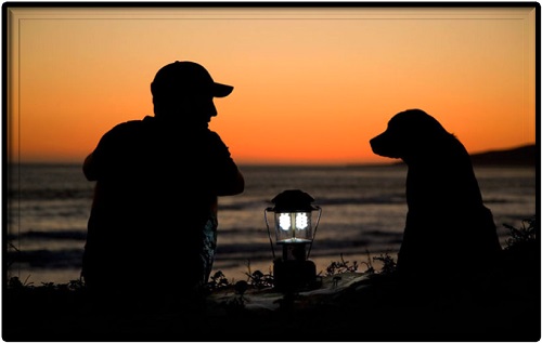 Cane Padrone Felici Cani e padroni