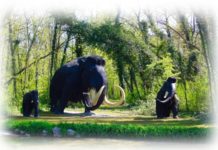 Animali estinti - Mammut