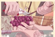 PIACENZA. 8* MERCATO DEI VINI DEI VIGNAIOLI INDIPENDENTI 2018 LocandinaFIVIPiacenza2018