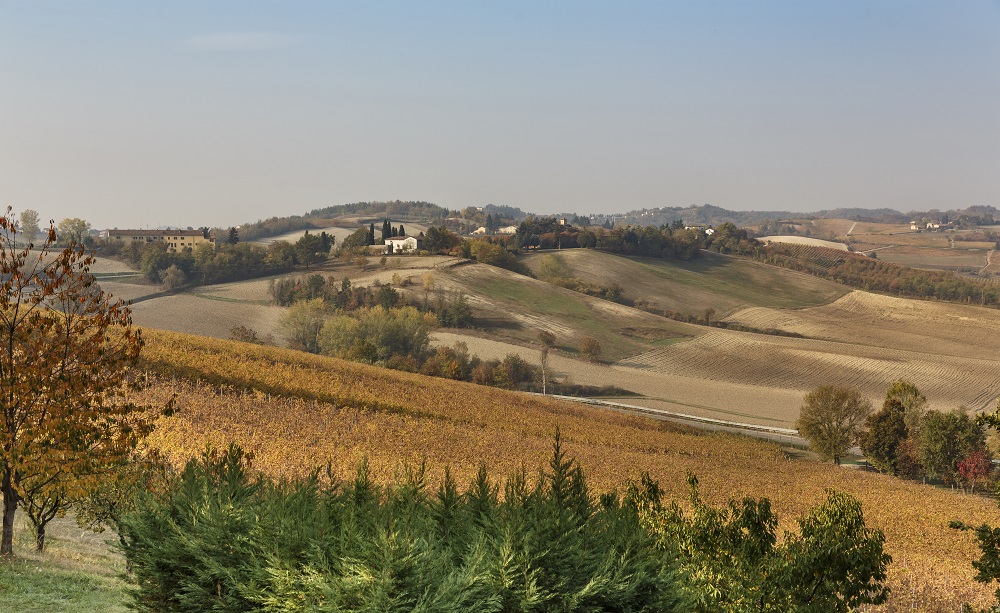 Bonzano Vini - le vigne della Tenuta della Mandoletta 2