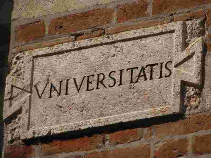 Universita Numero Chiuso Crollo Dei Laureati E Carenza Di Docenti