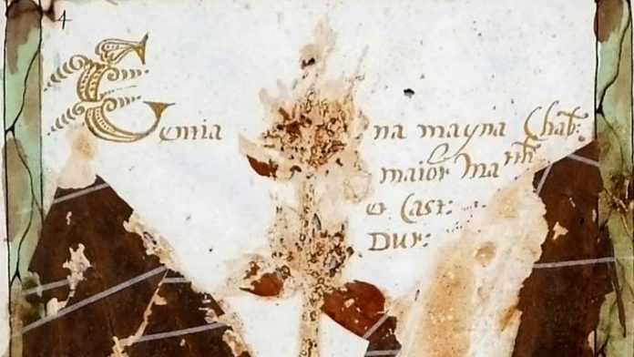 Parma - Erbario settecentesco di Giovan Battista Casapini