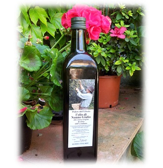 Olio Di Nonno Giulio Podere Delluliveto olio di Nonno Giulio - podere dellUliveto