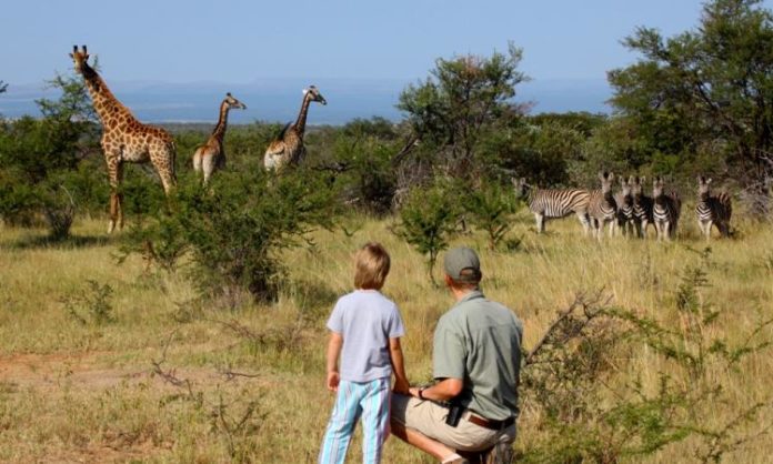 Vacanze in Sudafrica