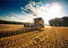 Investire nell’agricoltura? Agricoltura
