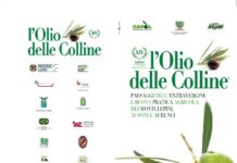 LATINA. EXPO SALONE DELL’OLIO E DEI SAPORI PONTINI Brochure 10x21 2019 DEF04-1-001