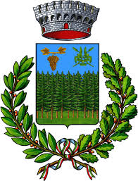 COMUNE SUPERSANO gonfalone