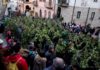 La Foresta che cammina a Satriano di Lucania