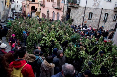 La Foresta che cammina a Satriano di Lucania