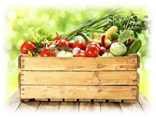 filiere sane controllate a Km zero e agroecologiche