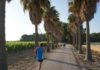 SALENTO. TROFEO CONTI ZECCA CON LA PARTECIPAZIONE DI LAURA FOGLI wcontizecca-maratona-vignetiOK
