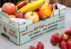 Bestack-Attivo-frutta