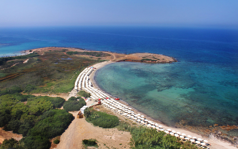 cds-rivamarina wcds-rivamarina