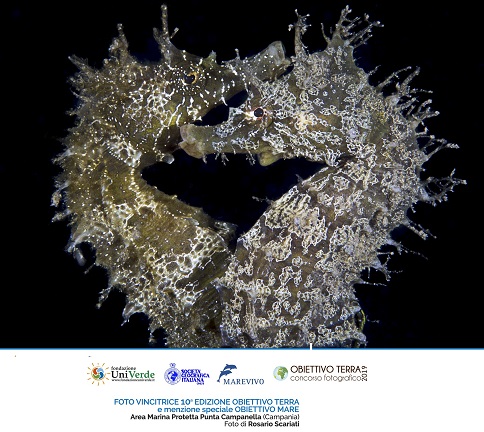 1 - SCARIATI Rosario AM Punta Campanella - Vincitrice OT2019 e MS Obiettivo Mare