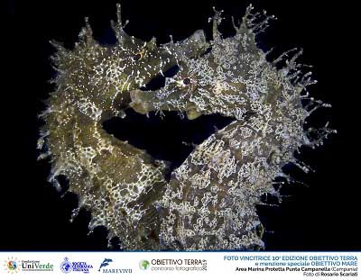 1 - SCARIATI Rosario AM Punta Campanella - Vincitrice OT2019 e MS Obiettivo Mare 2