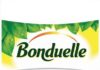 BONDUELLE SCATENA LA TUA FANTASIA A TAVOLA BONDUELLE logo