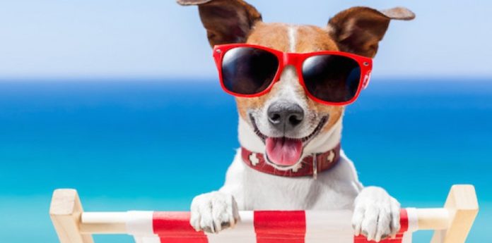 Campeggi E Villaggi Pet Friendly In Italia Campeggi e Villaggi Pet Friendly in Italia