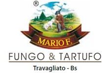 FUNGO TARTUFO