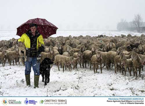 M Paesaggio agricolo - GIANNELLA Vittorio r