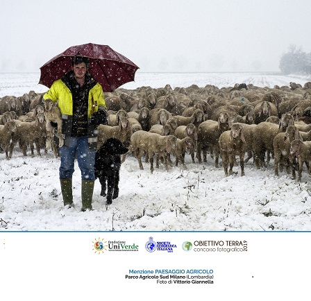 M Paesaggio agricolo - GIANNELLA vittorio