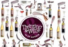 A TRENTO. IL TRENTINO & WINE 2019 IL VINO E IL SUO TERRITORIO trentino Locandina