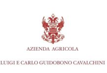 UN MOMENTO STORICO PER L’IDENTITA’ DEL RISO ITALIANO RISO BUONO logo