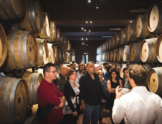 Visite in Barricaia - Credit Paolo Bernardotti